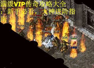 满级VIP传奇攻略大全：新手必看，大神进阶指南